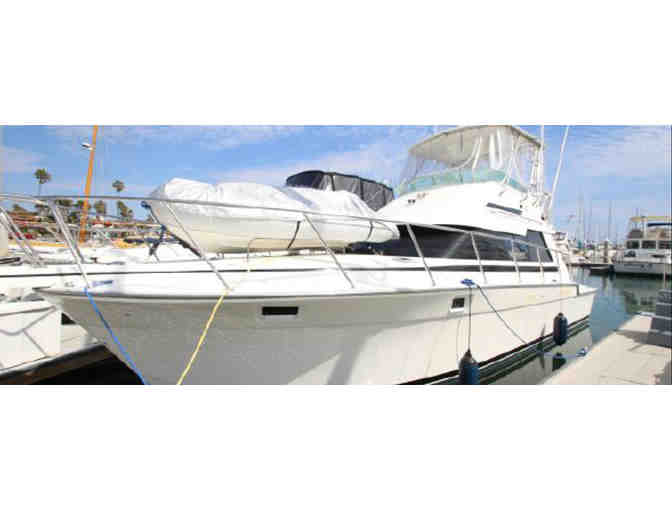 Private Charter for a Group of up to Eight to Dive with Blue and Mako Sharks