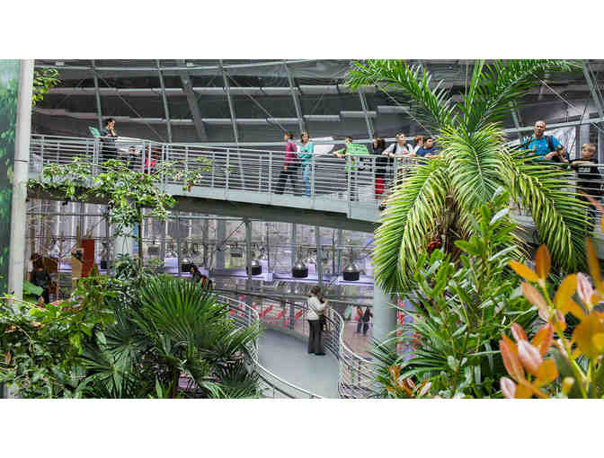 Four Admission Tickets to the California Academy of Sciences