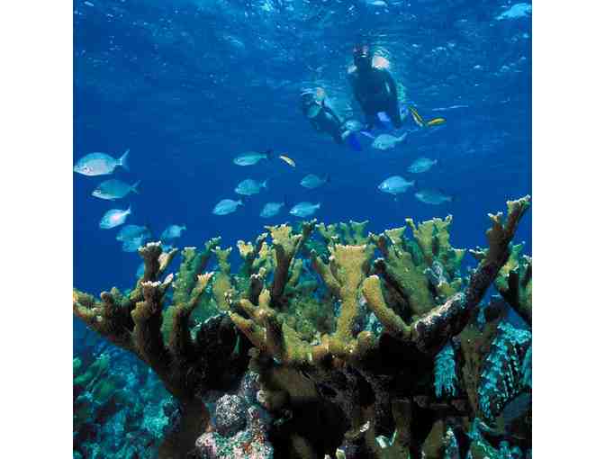 Stay-and-Dive Package for Two at All-Inclusive Occidental Cozumel in Mexico