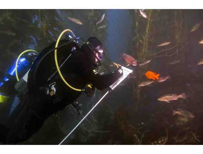 Fund a Need Item - Sponsor a Reef Survey