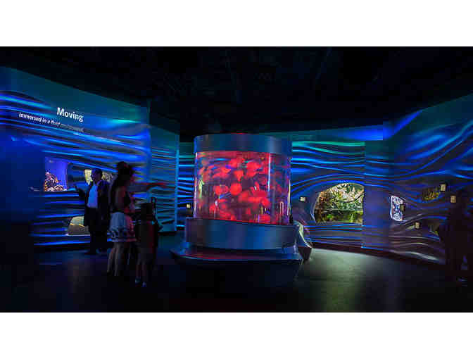 Four Admission Tickets to the California Academy of Sciences