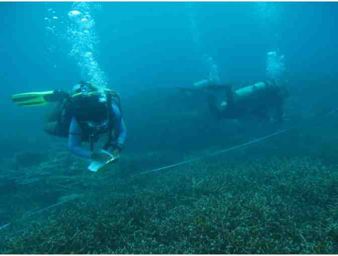 Reef Check EcoDiver Training in Malaysia