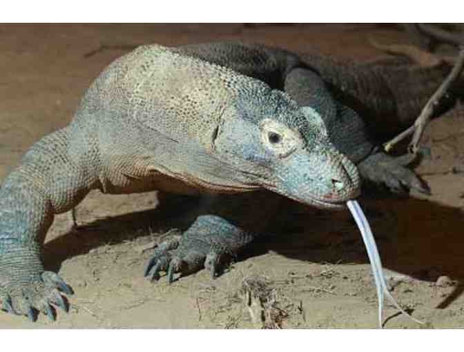 Scuba Junkie Komodo Beach Resort Three Night Stay with Diving in Indonesia