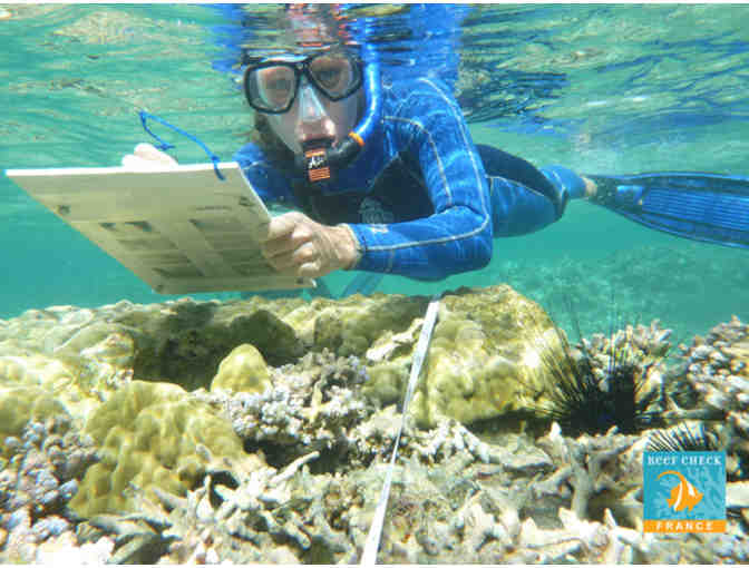 Fund a Need Item - Sponsor a Reef Survey