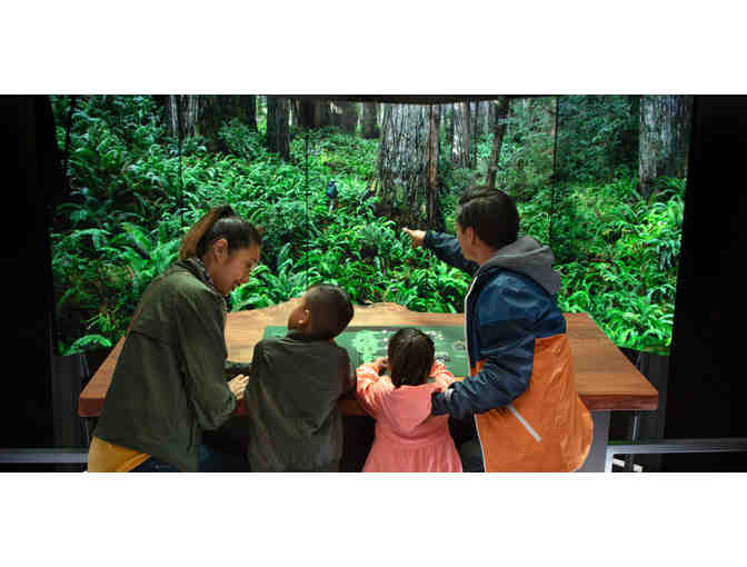 Four Admission Tickets to the California Academy of Sciences