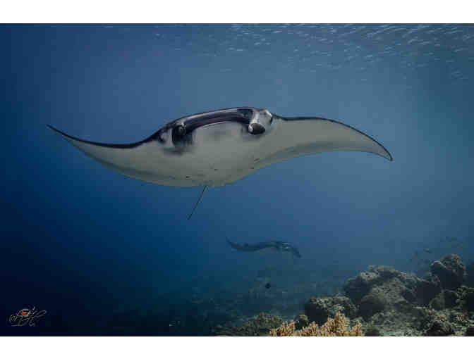 Scuba Junkie Komodo Beach Resort Three Night Stay with Diving in Indonesia