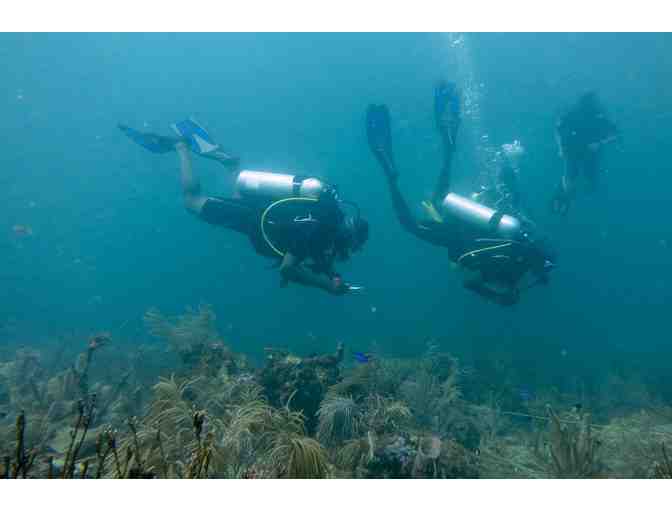 5-day Caribbean Reef Conservation Diving Expedition for Two in Tobago