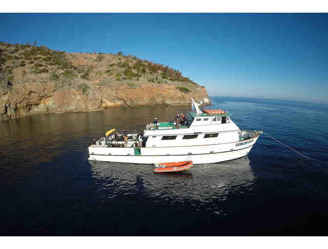 Three-Day Dive Trip for 1 with Truth Aquatics