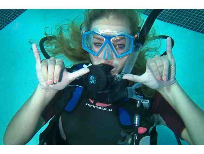Malibu Divers: Discover SCUBA Diving Experience for One