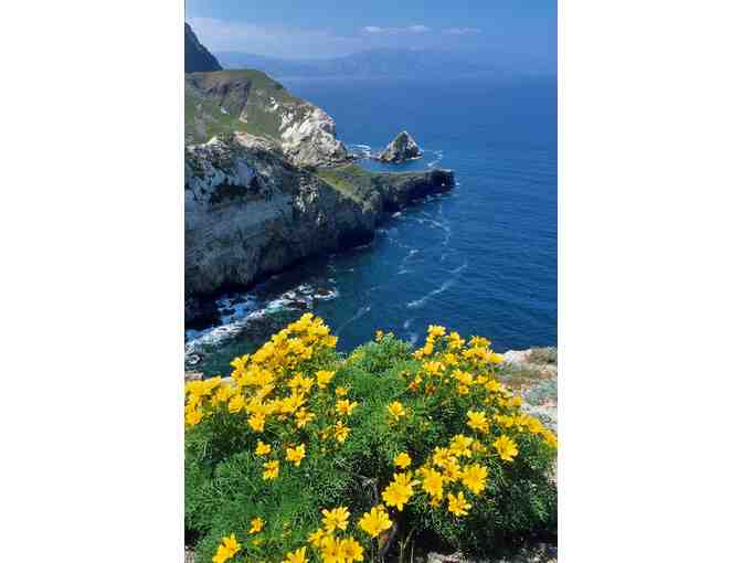 Island Packers: Channel Islands Day Trip for Two