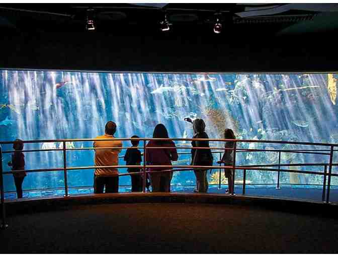 Aquarium of the Pacific: Immersion Dive Experience for Two
