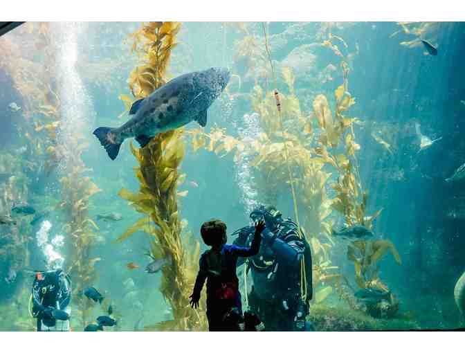 Birch Aquarium at Scripps: 4 Guest Passes