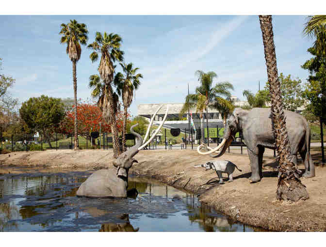 Natural History Museum of LA County/La Brea Tar Pits: Four Guest Passes