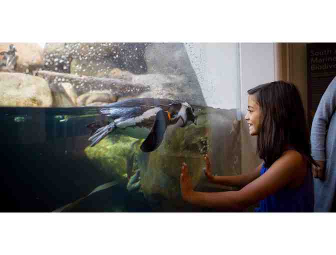 California Academy of Sciences: Biologist-led Aquarium Back-of-House Tour