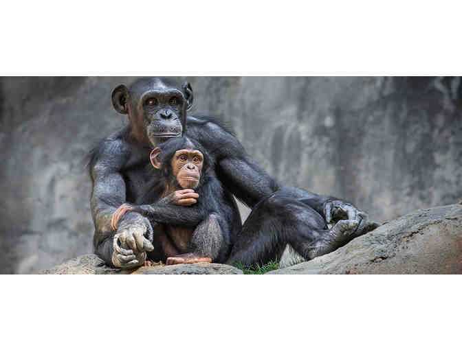 Los Angeles Zoo: Two General Admission Tickets