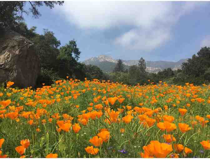 The Santa Barbara Botanic Garden: Four Guest Passes