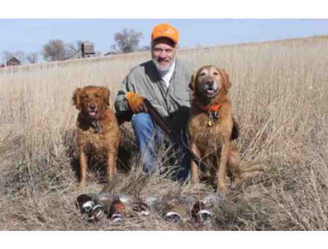 Rocky Mountain Roosters Pheasant Hunt for Two Hunters (Dog Included)
