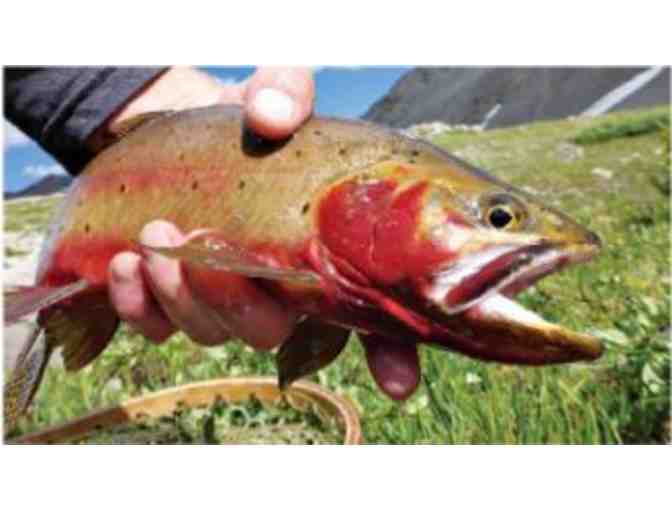 A Custom Built Fly Rod and Fly Fishing for Two  in the Colorado High Country