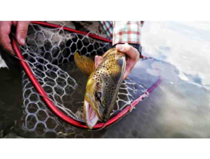 Colorado Full-Day Guided Fly-Fishing Trip for 2