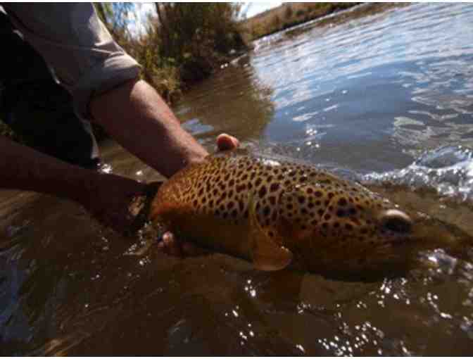 Arkansas River 1/2 Day Guided Fly Fishing Wade Trip for 2