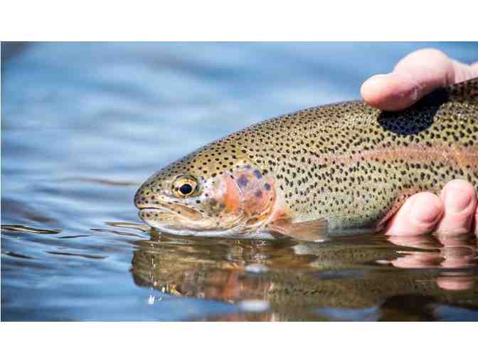 Full Day Float Trip for 2 with Orvis Endorsed Fly Fishing Outfitters