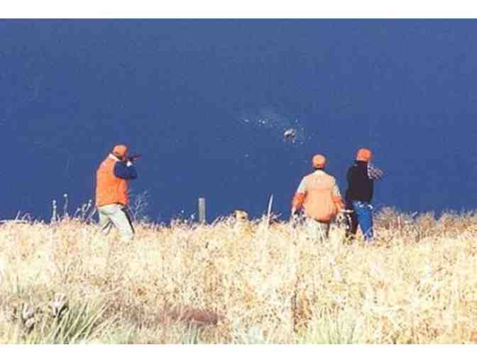 Attention Hunters: Rocky Mountain Roosters Pheasant Hunt for Two Hunters (Dog Included) - Photo 1