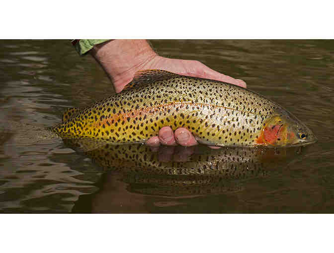 Fly Fishing for Two  in the Colorado High Country and a Custom Fly Rod