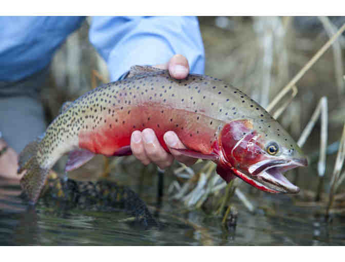 Falcon's Ledge - Utah's Premier Fly Fishing and Pheasant Hunting Lodge - 3 Night Package - Photo 3