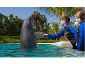 Dolphin Encounter experience for FOUR at Miami Seaquarium