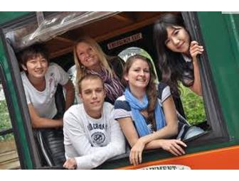 Key West at its Best-  Suite Stay and Sightseeing