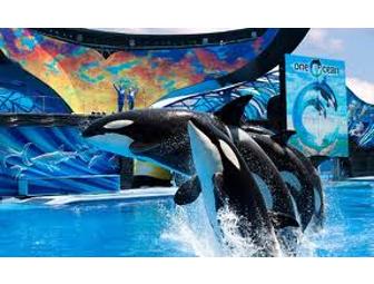 Orlando Vacation: SeaWorld, Blue Man Group & Rosen Centre Hotel Stay