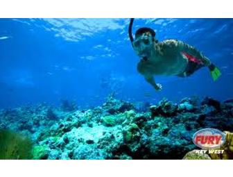 Key West at its Best-  Suite Stay and Sightseeing