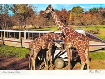 Kid's South Florida Entertainment Package