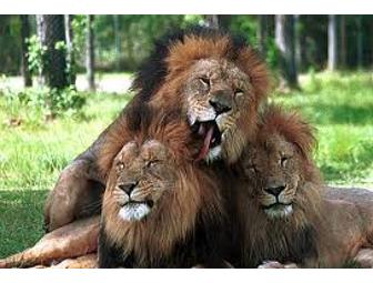 Kid's South Florida Entertainment Package