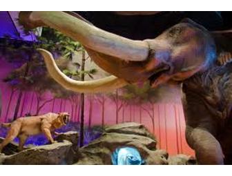 Kid's South Florida Entertainment Package