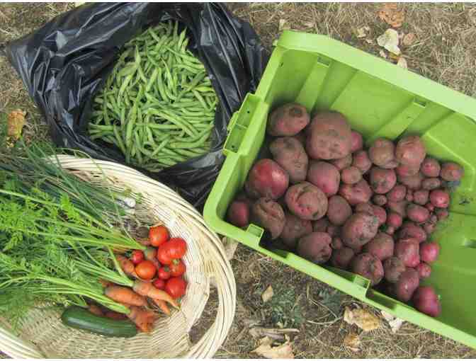 SOCIALLY CONSCIOUS GOURMET DINNER FOR 14