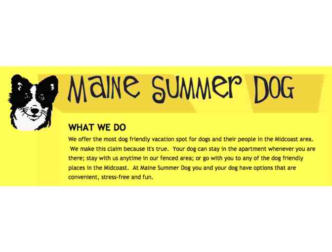 Maine Summer Dog Maine-Themed Package