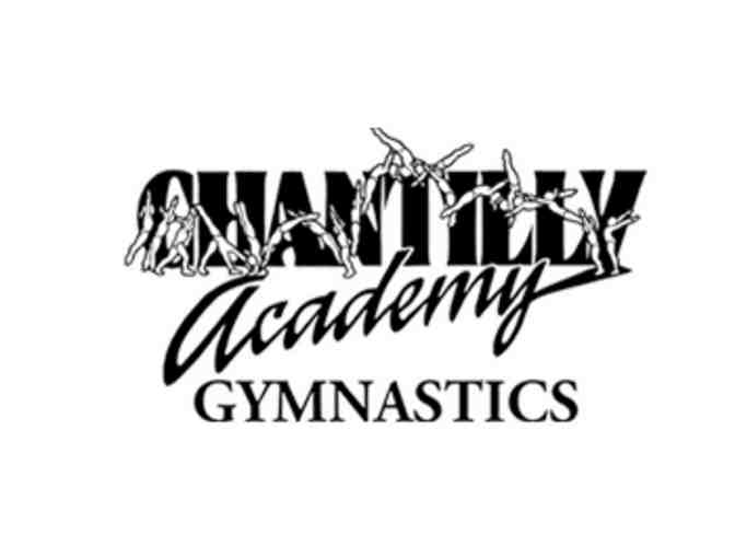 Four Kids' Night Out Coupons at Chantilly Academy Gymnastics