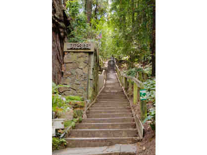 SIGN-UP PARTY: Dipsea Hike and Picnic Lunch