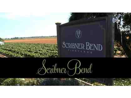 SIGN-UP PARTY: The Winery Experience at Scribner Bend Vineyards