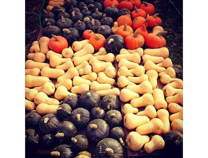 Ithaca NY Finger Lakes Farmstay Lodge Weekend