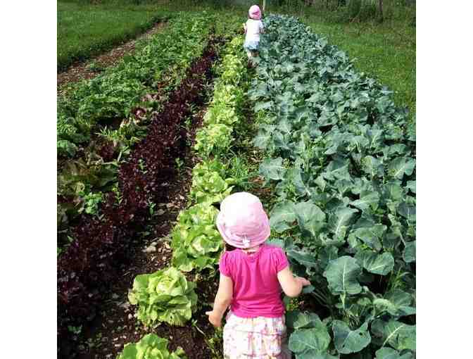 Ithaca NY Finger Lakes Farmstay Lodge Weekend