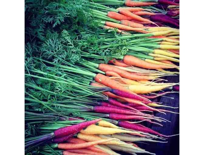 Ithaca NY Finger Lakes Farmstay Lodge Weekend