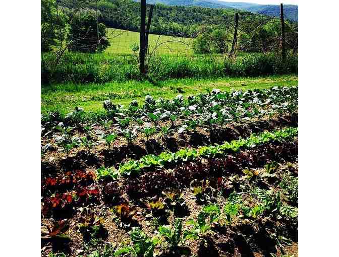 Ithaca NY Finger Lakes Farmstay Lodge Weekend