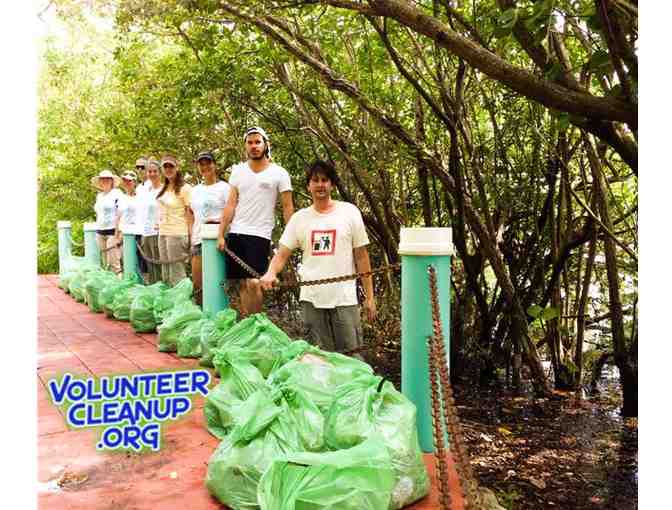 Shoreline Cleanup for Group of 50 people