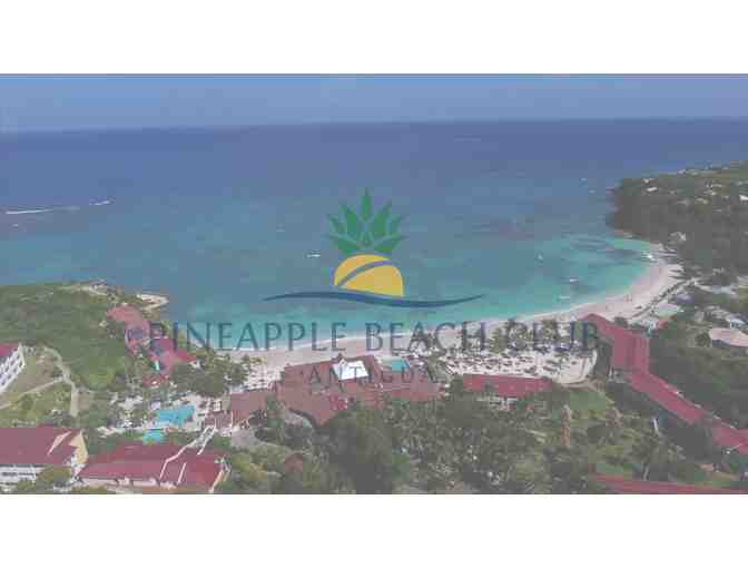 Pineapple Beach Club Adults-Only, Enjoy 7-9 nights of beachfront resort accommodations
