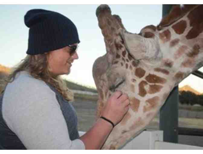 Malibu Wine Giraffe Safari for 2