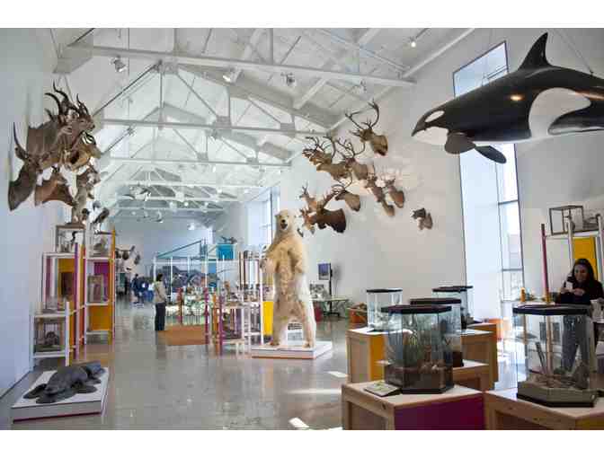 Natural History Museum- 4 tickets