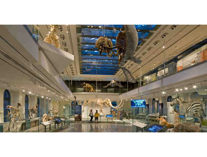 Natural History Museum- 4 tickets