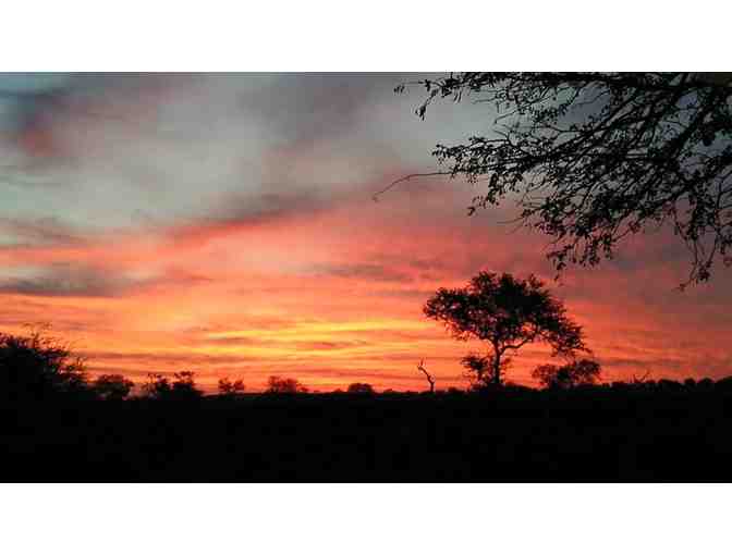 6 Night All-Inclusive EZULWINI Photo Safari Package for 2 Guests